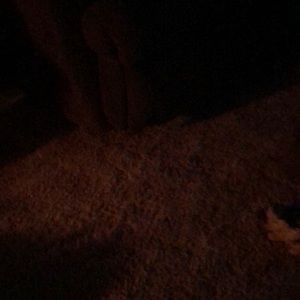 Meet your Posher, Ben